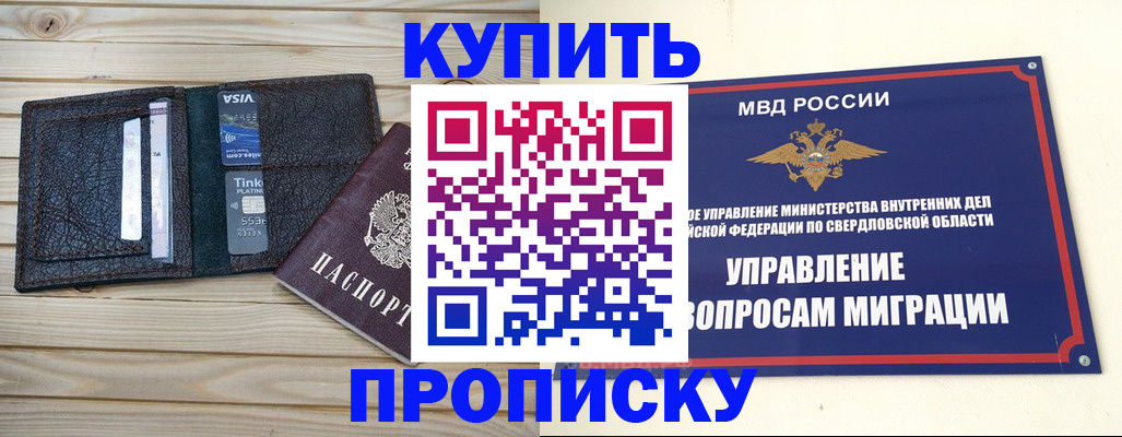 прописка поиск в Шлиссельбурге